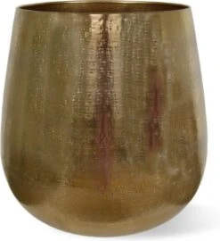 Merkloos Bloempot Karakter Goud - L -Tuinwinkel 1099x1200 1