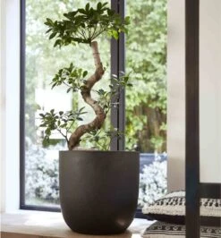 Capi Europe - Bloempot Bol Smooth NL - 35x34 - Zwart - Voor Binnen En Buiten - KBL932 -Tuinwinkel 1116x1200