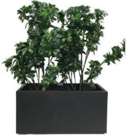 Elho Vivo Matt Finish Lang Wielen 90 - Grote Staande Plantenbak Voor Binnen & Buiten - Gemaakt Van Gereycled Plastic - L 39 X W 88 X H 41 Cm - Zwart 14 Elho Vivo Matt Finish Lang Wielen 90 - Grote Staande Plantenbak Voor Binnen & Buiten - Gemaakt Van Gereycled Plastic - L 39 X W 88 X H 41 Cm - Zwart -Tuinwinkel 1124x1200 1