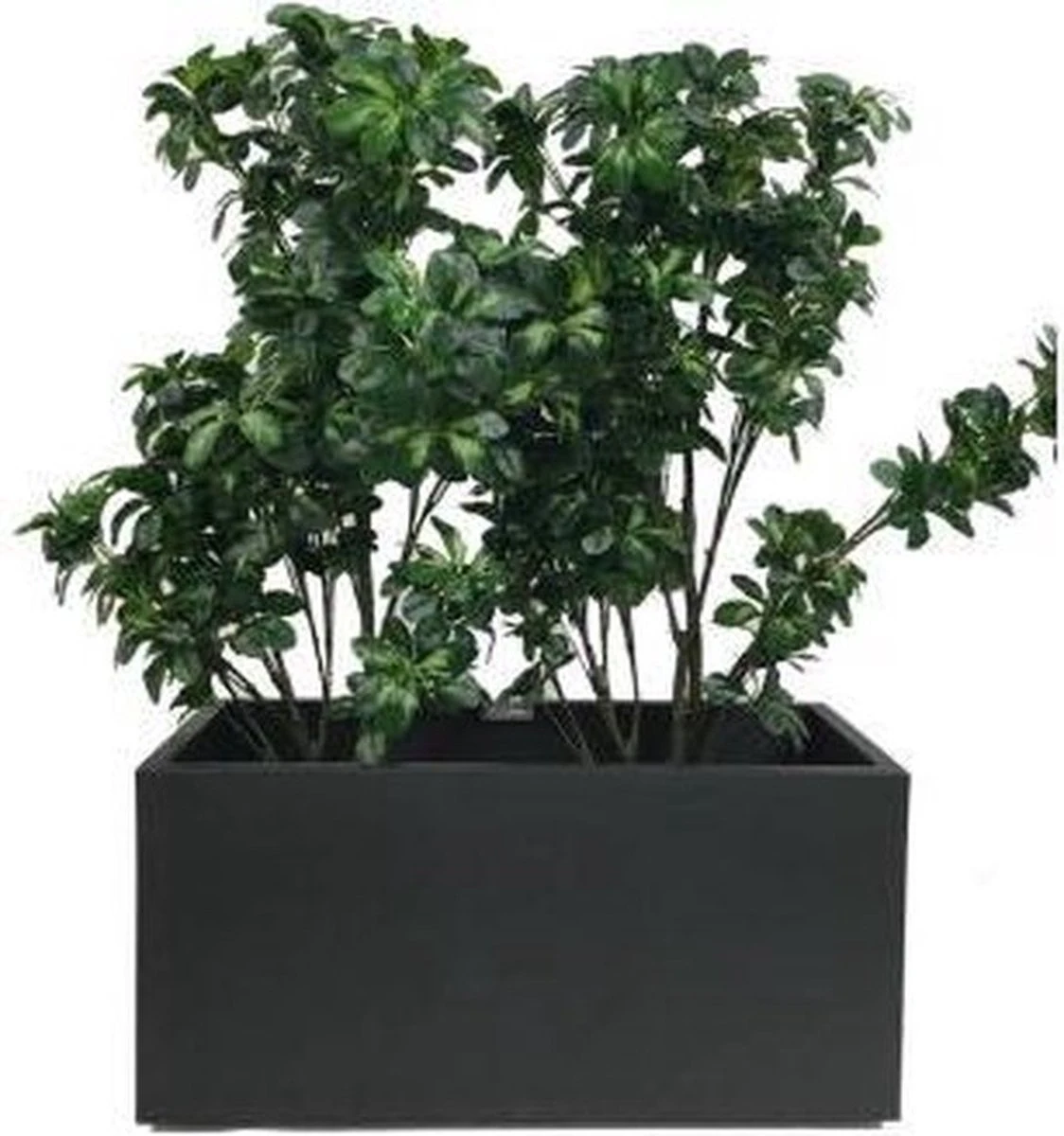 Elho Vivo Matt Finish Lang Wielen 90 - Grote Staande Plantenbak Voor Binnen & Buiten - Gemaakt Van Gereycled Plastic - L 39 X W 88 X H 41 Cm - Zwart 4 Elho Vivo Matt Finish Lang Wielen 90 - Grote Staande Plantenbak Voor Binnen & Buiten - Gemaakt Van Gereycled Plastic - L 39 X W 88 X H 41 Cm - Zwart - Afbeelding 4