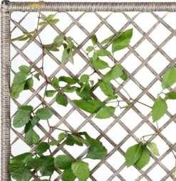 Casaria Polyrattan Bloembak – 3 Bakken Klimophek - Crème -Tuinwinkel 1163x1200 2