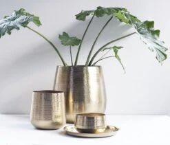 Gina Da - Bloempot - Karakter - Goud - Metaal - 15 Cm Hoog -Tuinwinkel 1200x1027