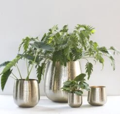 Gina Da - Bloempot - Karakter - Goud - Metaal - 15 Cm Hoog -Tuinwinkel 1200x1142 1