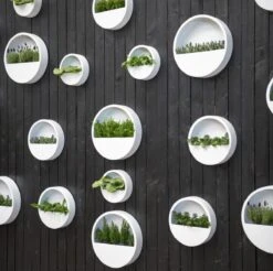 Langwerpige Witte Bloempot Van Naturn Living | Plantenbak | Bloempotten Voor Binnen En Buiten | Wit 6 Langwerpige Witte Bloempot Van Naturn Living | Plantenbak | Bloempotten Voor Binnen En Buiten | Wit -Tuinwinkel 1200x1195 4