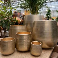 Merkloos Karakter Pot Alu Neo Gold ø40x40cm 7 Merkloos Karakter Pot Alu Neo Gold ø40x40cm -Tuinwinkel 1200x1198 11