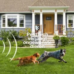 Pest-Tech PT-221 | Ultrasone Kattenverjager Op Zonneenergie | Kattenschrik | Marterverjager | Dierenverjager | Kattenafweermiddel | Ongedierte Verjager - Met USB Oplaadkabel 16 Pest-Tech PT-221 | Ultrasone Kattenverjager Op Zonneenergie | Kattenschrik | Marterverjager | Dierenverjager | Kattenafweermiddel | Ongedierte Verjager - Met USB Oplaadkabel -Tuinwinkel 1200x1200 297