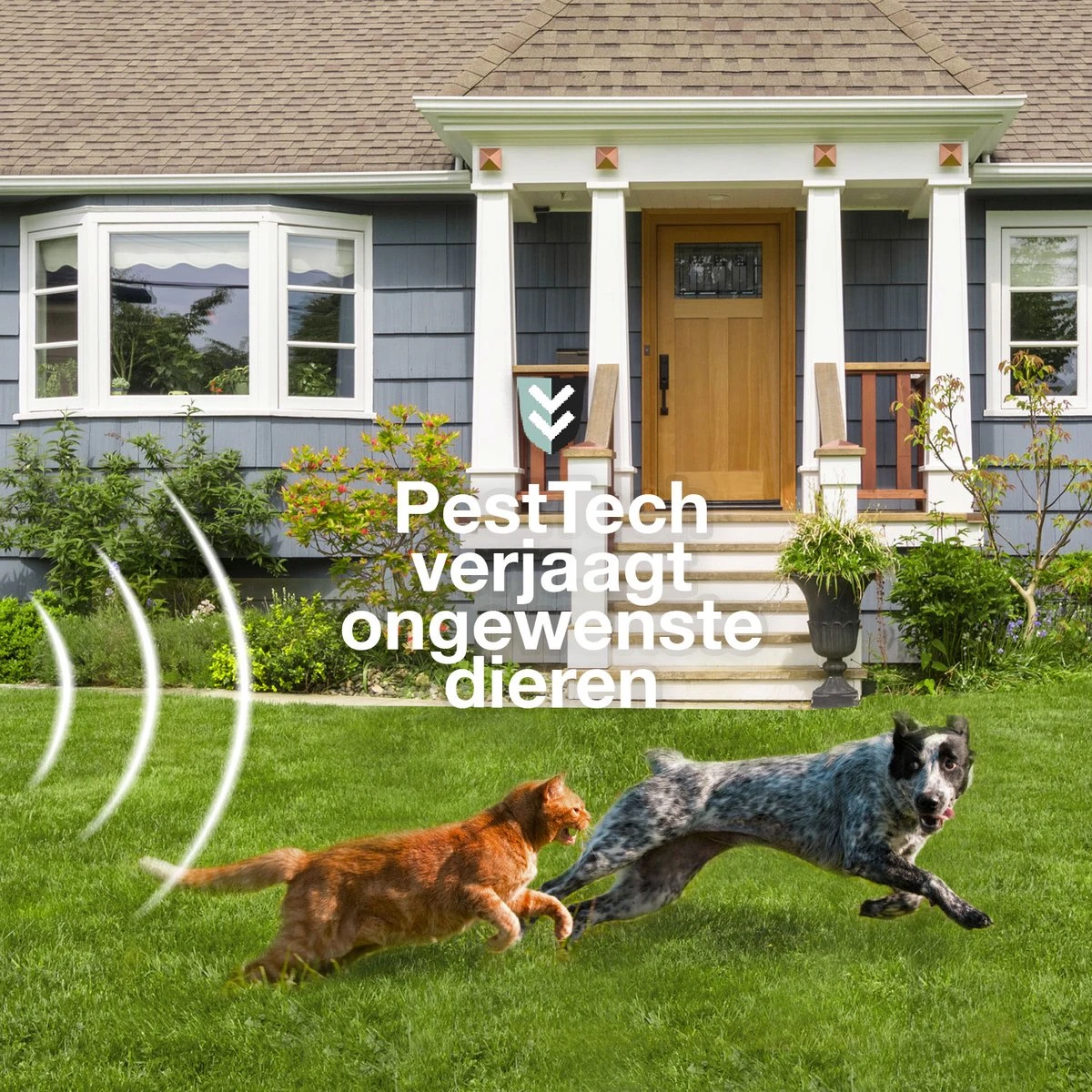 Pest-Tech PT-221 | Ultrasone Kattenverjager Op Zonneenergie | Kattenschrik | Marterverjager | Dierenverjager | Kattenafweermiddel | Ongedierte Verjager - Met USB Oplaadkabel 4 Pest-Tech PT-221 | Ultrasone Kattenverjager Op Zonneenergie | Kattenschrik | Marterverjager | Dierenverjager | Kattenafweermiddel | Ongedierte Verjager - Met USB Oplaadkabel - Afbeelding 4