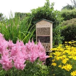 Dokkodo - Insectenhotel Palazzo - Incl. Handig Boekje - Stijlvol En Robuust Bijenhotel 20 Dokkodo - Insectenhotel Palazzo - Incl. Handig Boekje - Stijlvol En Robuust Bijenhotel -Tuinwinkel 1200x1200 314