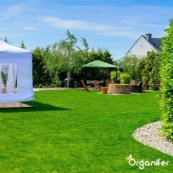 Gazonmest All-In-One (20Kg - Voor 400m2) Voor Een Diepgroen Sterk Gazon Zonder Mos En Onkruid - Complete Meststof Met Kalk En Grasversterker - Organifer -Tuinwinkel 1200x1200 454