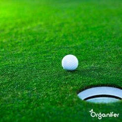 Gazonmest All-In-One (20Kg - Voor 400m2) Voor Een Diepgroen Sterk Gazon Zonder Mos En Onkruid - Complete Meststof Met Kalk En Grasversterker - Organifer -Tuinwinkel 1200x1200 455