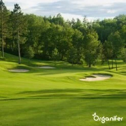 Gazonmest All-In-One (20Kg - Voor 400m2) Voor Een Diepgroen Sterk Gazon Zonder Mos En Onkruid - Complete Meststof Met Kalk En Grasversterker - Organifer -Tuinwinkel 1200x1200 456