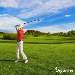 Lavagruis Uit Eifel Oergesteente (20Kg Voor 200m2) Grof Lavameel 0-2mm - Organifer -Tuinwinkel 1200x1200 466