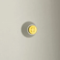 Elho Vivo Structure Finish Lang 90 - Plantenbak Voor Binnen & Buiten - Ø 88 X H 41 - Wit -Tuinwinkel 1200x1200 667