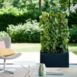 Elho Vivo Matt Finish Lang Wielen 90 - Grote Staande Plantenbak Voor Binnen & Buiten - Gemaakt Van Gereycled Plastic - L 39 X W 88 X H 41 Cm - Zwart 16 Elho Vivo Matt Finish Lang Wielen 90 - Grote Staande Plantenbak Voor Binnen & Buiten - Gemaakt Van Gereycled Plastic - L 39 X W 88 X H 41 Cm - Zwart -Tuinwinkel 1200x1200 670