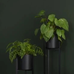 QUVIO Plantenstandaard Binnen - Inclusief Pot - Staande Plantenbak - Metaal - Bloempot - 22 X 22 X 60 Cm - Zwart 13 QUVIO Plantenstandaard Binnen - Inclusief Pot - Staande Plantenbak - Metaal - Bloempot - 22 X 22 X 60 Cm - Zwart -Tuinwinkel 1200x1200 703