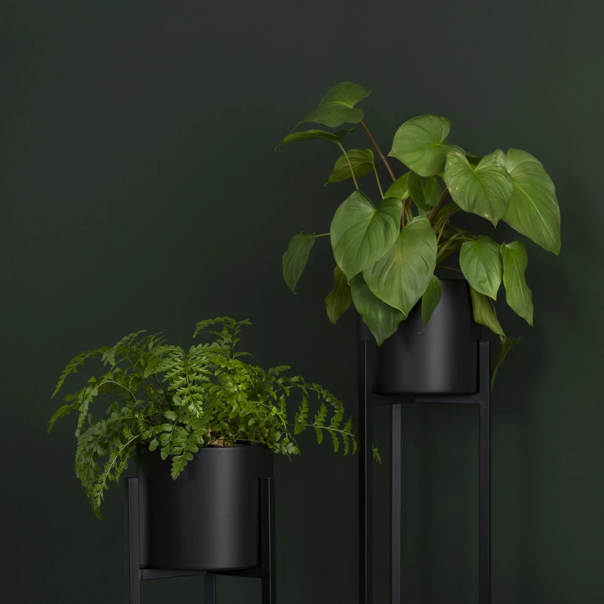 QUVIO Plantenstandaard Binnen - Inclusief Pot - Staande Plantenbak - Metaal - Bloempot - 22 X 22 X 60 Cm - Zwart 5 QUVIO Plantenstandaard Binnen - Inclusief Pot - Staande Plantenbak - Metaal - Bloempot - 22 X 22 X 60 Cm - Zwart - Afbeelding 5