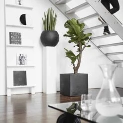 Capi Europe - Bloempot Vierkant Smooth NL - 50x50x50 - Zwart - Voor Binnen En Buiten - KBL904 -Tuinwinkel 1200x1200 725