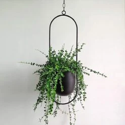 Be-Inspired® Hangende Bloempot Ovaal - Bloempot Binnen - Voor Hangplant – Plant Bloem Pot Met Opknoping – Plantenhanger - Plantenbak - Industrieel – Scandinavisch - Metaal - Zwart 9 Be-Inspired® Hangende Bloempot Ovaal - Bloempot Binnen - Voor Hangplant – Plant Bloem Pot Met Opknoping – Plantenhanger - Plantenbak - Industrieel – Scandinavisch - Metaal - Zwart -Tuinwinkel 1200x1200 729