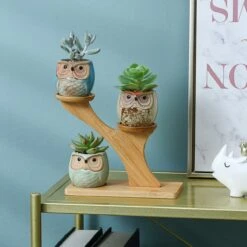 Luxe Bamboe Houten Boom Met 3 Keramiek Uil Bloempotten/Plantenpotten Op Standaard/Voet Voor Binnen En Buiten - Modern Design Bloempot/Plantenpot Op Poten/Pootjes-Plantenbak Mini Cactus Nep Plant Pot Houder - Kleine Bloembakken Plantenrek/Plantenkurk -Tuinwinkel 1200x1200 734