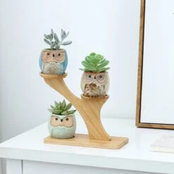 Luxe Bamboe Houten Boom Met 3 Keramiek Uil Bloempotten/Plantenpotten Op Standaard/Voet Voor Binnen En Buiten - Modern Design Bloempot/Plantenpot Op Poten/Pootjes-Plantenbak Mini Cactus Nep Plant Pot Houder - Kleine Bloembakken Plantenrek/Plantenkurk -Tuinwinkel 1200x1200 735