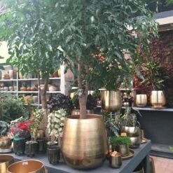 Merkloos Bloempot Karakter Goud - L -Tuinwinkel 1200x1200 745