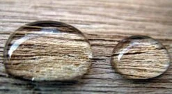 Woodseal Pro - Hout Impregneermiddel | Hout Waterdicht Maken | Hout Behandelen - 2,5 Liter -Tuinwinkel 1200x656