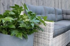 Merkloos Rivièra Original | Loungeset Hoekset Dining Set Tuinset | Wicker | Hoekbank, Hoge Tuintafel, 2 Hockers | 6 Zitplaatsen 6 Merkloos Rivièra Original | Loungeset Hoekset Dining Set Tuinset | Wicker | Hoekbank, Hoge Tuintafel, 2 Hockers | 6 Zitplaatsen -Tuinwinkel 1200x793 1