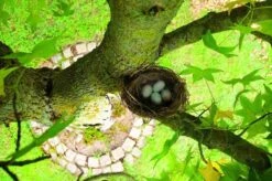 Gardigo Kattenafweergordel -Tuinwinkel 1200x799 8