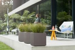Elho Vivo Structure Finish Vierkant 40 - Plantenbak Voor Binnen & Buiten - Ø 39 X H 41 - Grijs/Warm Grijs 17 Elho Vivo Structure Finish Vierkant 40 - Plantenbak Voor Binnen & Buiten - Ø 39 X H 41 - Grijs/Warm Grijs -Tuinwinkel 1200x800 168
