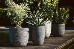 Capi Europe - Bloempot Bol Rib NL - 35x34 - Antraciet - Voor Binnen En Buiten - KOFZ932 -Tuinwinkel 1200x800 171