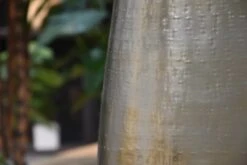 Merkloos Bloempot Karakter Goud - L -Tuinwinkel 1200x800 180