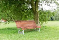 MaximaVida Tuinbank Budapest Oil 170 Cm - Uit Exclusief Mahoniehout -Tuinwinkel 1200x800 64