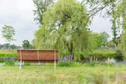 MaximaVida Tuinbank Budapest Oil 170 Cm - Uit Exclusief Mahoniehout -Tuinwinkel 1200x800 65