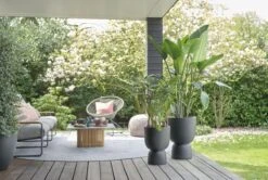 Elho Pure Coupe 41 - Bloempot Voor Binnen & Buiten - Ø 41.3 X H 57.9 Cm - Zwart/Zwart 18 Elho Pure Coupe 41 - Bloempot Voor Binnen & Buiten - Ø 41.3 X H 57.9 Cm - Zwart/Zwart -Tuinwinkel 1200x805 2