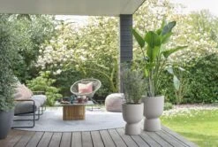 Elho Pure Coupe 35 - Bloempot Voor Binnen & Buiten - Ø 34.9 X H 49.0 Cm - Beige/Balanced Beige 38 Elho Pure Coupe 35 - Bloempot Voor Binnen & Buiten - Ø 34.9 X H 49.0 Cm - Beige/Balanced Beige -Tuinwinkel 1200x808 3