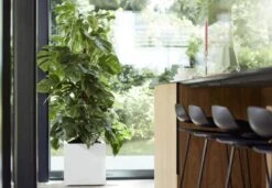 Elho Vivo Matt Finish Vierkant Wielen 40 - Grote Plantenbak Voor Binnen & Buiten - Gemaakt Van Gereycled Plastic - L 39 X W 39 X H 41 Cm - Wit 10 Elho Vivo Matt Finish Vierkant Wielen 40 - Grote Plantenbak Voor Binnen & Buiten - Gemaakt Van Gereycled Plastic - L 39 X W 39 X H 41 Cm - Wit -Tuinwinkel 1200x832 1