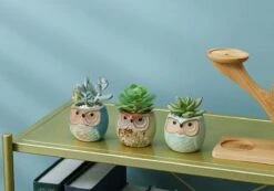 Luxe Bamboe Houten Boom Met 3 Keramiek Uil Bloempotten/Plantenpotten Op Standaard/Voet Voor Binnen En Buiten - Modern Design Bloempot/Plantenpot Op Poten/Pootjes-Plantenbak Mini Cactus Nep Plant Pot Houder - Kleine Bloembakken Plantenrek/Plantenkurk -Tuinwinkel 1200x840