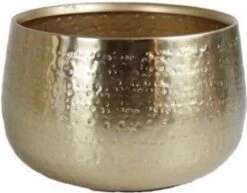 Karakter Bloempot Goud - XXL -Tuinwinkel 1200x939 1