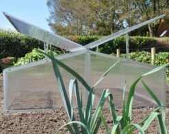 Royal Well Broeikas Silver Thyme 9 Royal Well Broeikas Silver Thyme -Tuinwinkel 1200x947