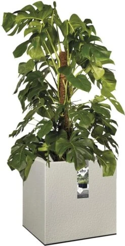 Elho Vivo Structure Finish Vierkant 40 - Plantenbak Voor Binnen & Buiten - Ø 39 X H 41 - Grijs/Warm Grijs 16 Elho Vivo Structure Finish Vierkant 40 - Plantenbak Voor Binnen & Buiten - Ø 39 X H 41 - Grijs/Warm Grijs -Tuinwinkel 613x1200