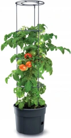 TOMATENPOT VOOR HET KWEKEN VAN TOMATEN PROSPERPLAST 28L -Tuinwinkel 621x1200 3