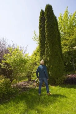 GARDENA TeleCut Heggenschaar - Telescopische Handgrepen Van 70-90 Cm -Tuinwinkel 799x1200 4