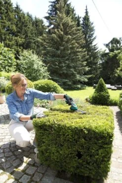 Bosch ISIO Gen III Accu Buxusschaar + Grasschaar -Tuinwinkel 800x1200 10