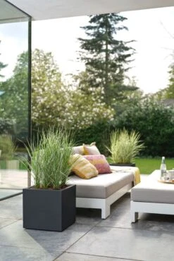 Elho Vivo Next Vierkant 40 - Plantenbak Voor Binnen & Buiten - Ø 39.0 X H 37.9 Cm - Zwart/Living Black -Tuinwinkel 800x1200 44