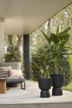 Elho Pure Coupe 41 - Bloempot Voor Binnen & Buiten - Ø 41.3 X H 57.9 Cm - Zwart/Zwart 17 Elho Pure Coupe 41 - Bloempot Voor Binnen & Buiten - Ø 41.3 X H 57.9 Cm - Zwart/Zwart -Tuinwinkel 800x1200 49