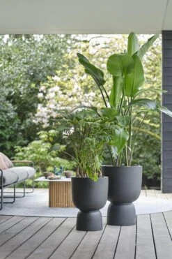 Elho Pure Coupe 41 - Bloempot Voor Binnen & Buiten - Ø 41.3 X H 57.9 Cm - Zwart/Zwart 27 Elho Pure Coupe 41 - Bloempot Voor Binnen & Buiten - Ø 41.3 X H 57.9 Cm - Zwart/Zwart -Tuinwinkel 800x1200 50