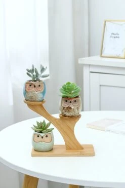 Luxe Bamboe Houten Boom Met 3 Keramiek Uil Bloempotten/Plantenpotten Op Standaard/Voet Voor Binnen En Buiten - Modern Design Bloempot/Plantenpot Op Poten/Pootjes-Plantenbak Mini Cactus Nep Plant Pot Houder - Kleine Bloembakken Plantenrek/Plantenkurk -Tuinwinkel 800x1200 57