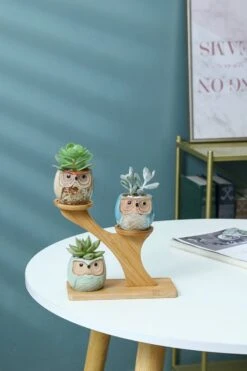 Luxe Bamboe Houten Boom Met 3 Keramiek Uil Bloempotten/Plantenpotten Op Standaard/Voet Voor Binnen En Buiten - Modern Design Bloempot/Plantenpot Op Poten/Pootjes-Plantenbak Mini Cactus Nep Plant Pot Houder - Kleine Bloembakken Plantenrek/Plantenkurk -Tuinwinkel 800x1200 58
