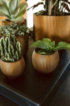 Capi Europe - Vaas Bol Groove XL - 39x33 - Goud - Bloempot Voor Binnen - Opening ⌀24 - GVGB270 -Tuinwinkel 800x1200 59