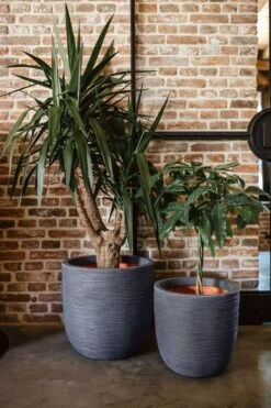 Capi Europe - Bloempot Bol Rib NL - 43x41 - Antraciet - Voor Binnen En Buiten - KOFZ933 -Tuinwinkel 800x1200 61